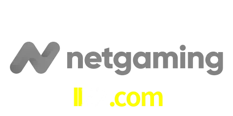 NetGaming